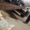 В Закарпатской области власти потратили на веники рекордную сумму денег