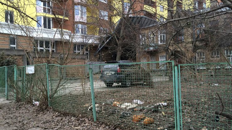 В Киеве живодеры отравили редких птиц. Фото: facebook.com/pygyda