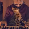Милый кот-меломан покорил интернет (видео)