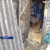 В Запоріжжі поліцейські врятували косулю від зграї собак 