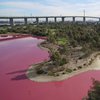 Озеро в Австралии стало розовым (фото)