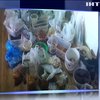На Рівненщині поліція вилучила бурштин на 2 млн гривень