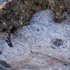 В Канаде нашли древнейшие скалы Земли (фото)