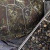В Таиланде умерла съевшая 915 монет черепаха (видео) 