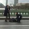 Теракт в Лондоне: на Вестминстерском мосту погибла женщина