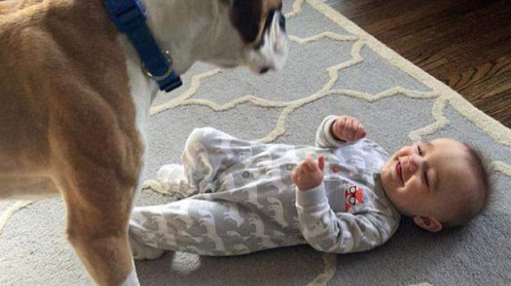 Каждый раз, когда пес щекочет ребенка - он неугомонно смеется