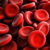Ученые научились производить искусственную кровь