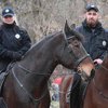 В Киеве полицейская лошадь сбила женщину с ребенком 