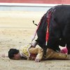 В Испании раненый бык поднял матадора на рога (видео)