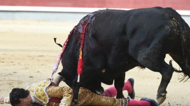 В Испании раненый бык поднял матадора на рога