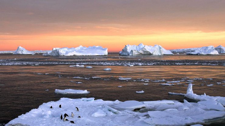 В Антарктиде зафиксирована рекордная жара