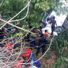 Трагедия в Панаме: автобус упал в ущелье (фото, видео) 