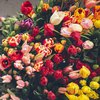 В Киеве подросток обокрал цветочный магазин