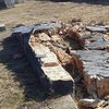Под Одессой вандалы разрушили памятник жертвам Холокоста