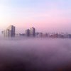 Туман в Киеве: названа причина явления