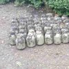 В Ивано-Франковской области изъяли более 200 кг марихуаны (фото) 