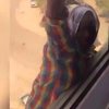 Женщина сняла на видео домработницу-самоубийцу 