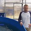 На Київщині бізнесмен відкрив унікальну рибну ферму