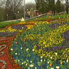 Фестиваль тюльпанів у Києві присвятили Великодню