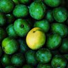 В Японии на аукционе манго продали за рекордные 3,7 тысячи долларов 