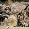 Оползень в Колумбии: количество погибших стремительно растет 