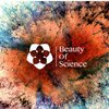 Топ-5 видео о красоте химических процессов (видео)
