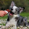 В Италии создали специальное мороженое для собак