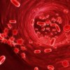 Рак крови будут лечить наночастицами