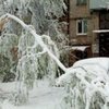 Непогода в Украине бушует: еще в одной области закрывают школы из-за снегопадов