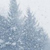 Погода в Украине: из-за снегопадов погибли семь человек