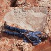 В Австралии обнаружили самый большой след динозавра (фото)