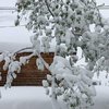 На Молдову обрушились мощные снегопады (фото, видео)