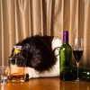 Гремучая смесь: ученые назвали смертельный алкоголь 