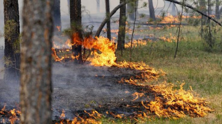 Спасатели предупредили о высокой пожарной опасности на майские праздники