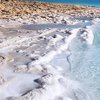 Ученые собираются обнародовать неизвестные свитки Мертвого моря