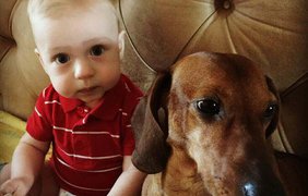 Родители семимесячного Саши просят помочь спасти малыша (фото)
