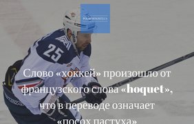 Podrobnosti.ua подготовили топ-5 интересных фактов о хоккее.