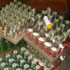 В Ивано-Франковской области изъяли крупную партию фальсифицированного алкоголя 