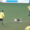 В Англии на футбольном матче вместо мяча гонялись за собакой на поле (видео)