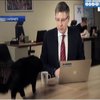 Кіт перервав звернення мера Риги (відео)