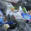 Во Львове собираются ввести чрезвычайное положение из-за мусора (видео)