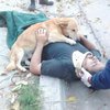 Душевное фото: преданный пес не отходил от раненого хозяина