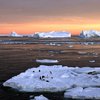 Потепление в Арктике: ученые нашли причину катаклизма 