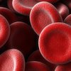 Кровь начнут создавать из клеток - ученые