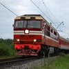 В Бердичеве поезд протаранил ВАЗ, водитель погиб на месте 