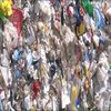 Міль може безпечно переробляти пластик