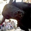 Жуткое видео: бык растоптал наездника во время родео