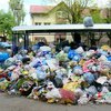 Во Львове 25% площадок "утопают" в мусоре