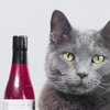В США для котов и собак создали вино (фото) 