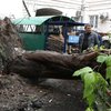 Ураган в Москве: количество пострадавших увеличилось 